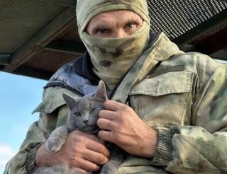 Barmaley the cat became the mascot of the military from the South group in the special military operation zone.
